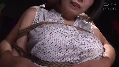キャプチャ画像2