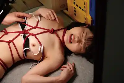 キャプチャ画像17